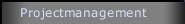 Projectmanagement