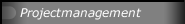 Projectmanagement